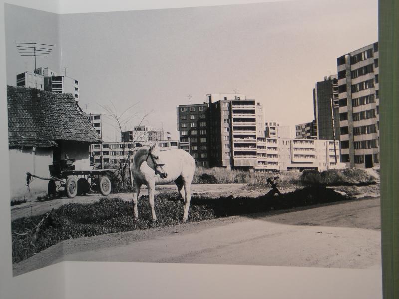Vnútené dedičstvo – Fotografie: Ondrej Berta - titulný obrázok