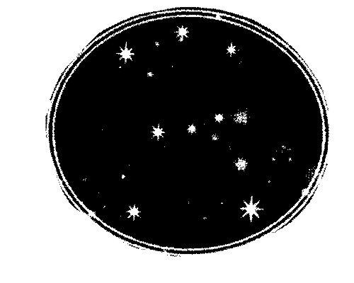 ORION - titulný obrázok